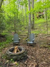 Acorn Acre Tiny Cabin - A Couples Relaxing Retreat - Image 4