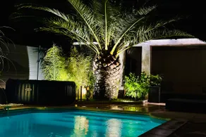 Pa Ni Pwoblem Pool Studio - Image 4