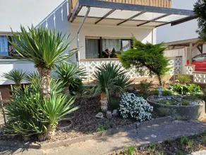Rustic cozy apartment, 64 m², Dielheim - Image 2