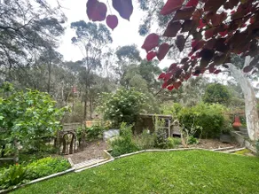 Melbourne Sanctuary ★★★★★ - Image 4