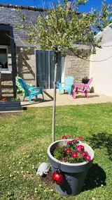 The Maisonnette - Charming rental in Audierne - Image 2