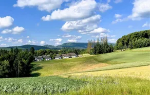 Vacation home 31 in Kirchheim - Image 2
