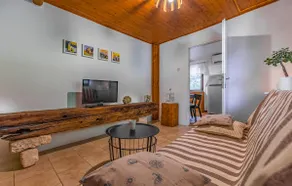Schönes Haus in Segotici - Image 3