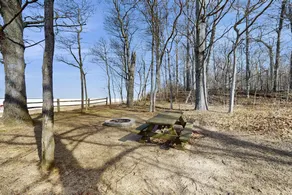 Private Cottage withWood-Burning Fireplace, WiFi, - Image 2