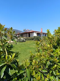 Eco Garden House in Old Leptokarya, Pieria, Greece - Image 2