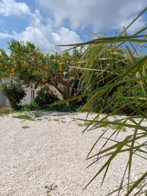 My Sicily Home - Casa con giardino a Salemi - Image 2