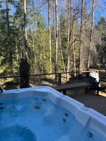 Cozy Mt Hood Home - swimming pool, 3 BR, hot tub - Image 2