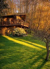 Whidbey Island west side “Seastar cottage”! - Image 2
