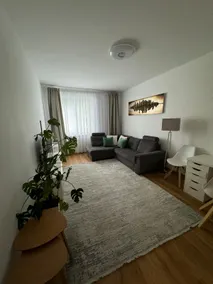 Elegant apartament in central location Graz-free parking - Image 2