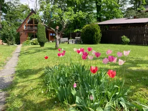 Nice romantic cottage by the Hracholusky dam cabin - Image 2