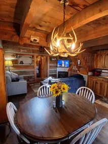 Bearadise Log Cabin~Rustic Secluded Log Cabin~ - Image 5
