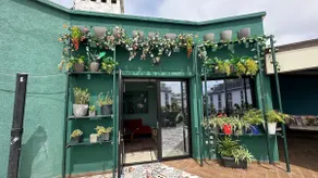 The best green terrace in the city art deco flat - Image 3