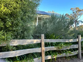 Birdsnest, garden cottage nestled near Launceston - Image 4