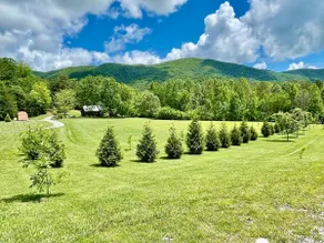 Historic Ben Ellis Cabin | 34 Private Acres - Image 3