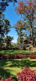 Large bungalow with private jacuzzi in the woods - Image 2