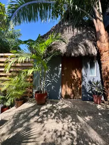 Palapa Chili # - Image 2