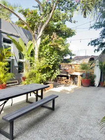 Palapa Chili # - Image 4