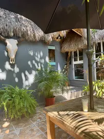 Palapa Chili # - Image 3