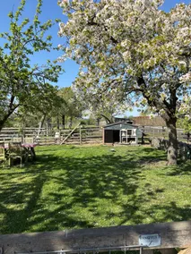 Jacobushof Bed and Breakfast - Image 3
