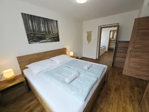 ŠUMAVSKY MOUNTAIN HOUSE *STYLOVE MISTO*SUPER LOCATION - Image 4