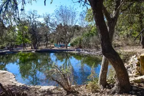 Serene Hill Country Wildlife Sanctuary w/ Porch - Image 3