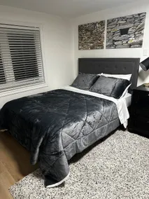 Beautiful West End Basement Apartment - Image 3