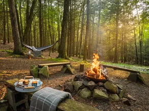 Tiny Cabin | Fire Pit | Screened Porch | Pets - Image 2