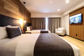 Modern 30m² Apartment Polanco, 2 Balconies, 6pax - Image 2