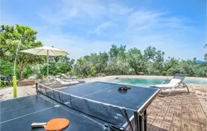 Olives - Image 5