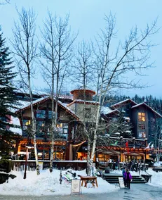MTN Bike / Ski-In/Ski-Out Private Spa- Garage - Image 5
