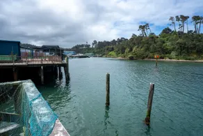 Emmanuel - WOW Right at the mouth of the Noyo harbor with views of the mighty Pacific ocean. - Image 5