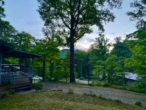 Spruce Fork Cottage ~ 20 Min Asheville ~ EV Charge - Image 5