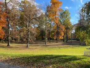 Private 12-Acre Estate | Sleeps 16 | Near MSU - Image 4