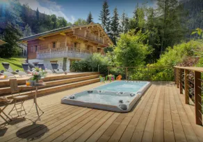 Wellness spa and close to pistes - Image 5
