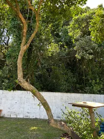 Getaway in Lagoa da Conceição - Image 3
