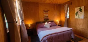 Rustic Cabin Villarrica Park - Image 4