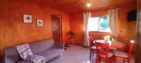 Rustic Cabin Villarrica Park - Image 2
