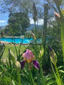 Glasshouse with log fire | pool | spa | near Bright | walk to shops restaurants - Image 2