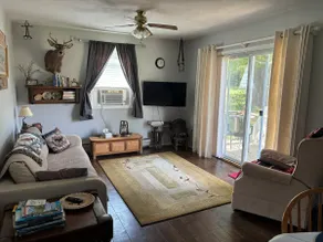 Horse-Views Apartment - Image 4