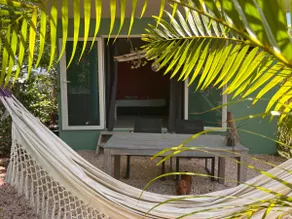 Tropical Breeze "Dushi Bida" - Image 2