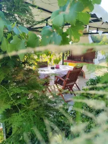 The Pergola Cottage...Feel the local vibes! - Image 5