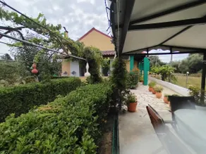 The Pergola Cottage...Feel the local vibes! - Image 3