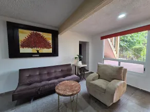Beautiful modern apartment by Av. Universidad - Image 5
