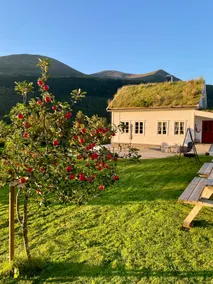Åmås Events Guesthouse - Full house (two floors) - Image 2