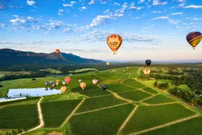 Hunter Valley Accom: Pets, Wineries, Sleeps 10 - Image 5