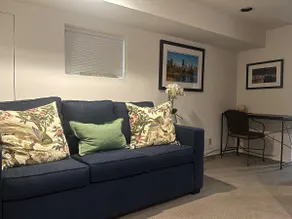 Pretty Suite in Lincoln Park w/HVAC +free parking - Image 4