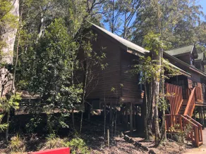 Forest cabin 2 br : swim hike tennis relax - Image 5