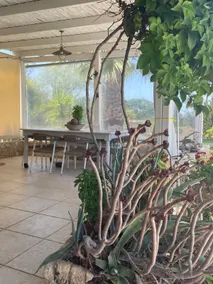 Olive House Traditional Villa with Pool - Image 5