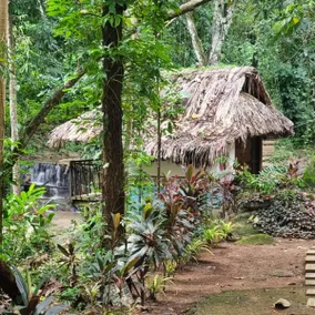 River View Cabin. - Image 4