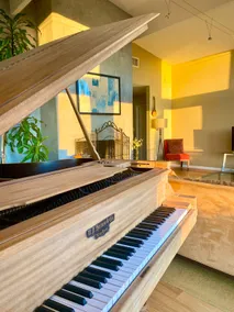 Mid century modern home with Epic Views - Image 3